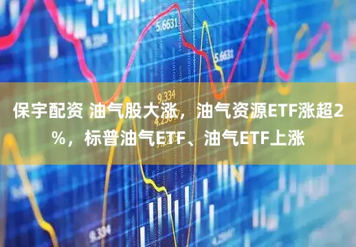 保宇配资 油气股大涨，油气资源ETF涨超2%，标普油气ETF、油气ETF上涨