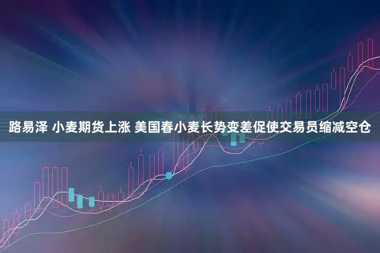 路易泽 小麦期货上涨 美国春小麦长势变差促使交易员缩减空仓