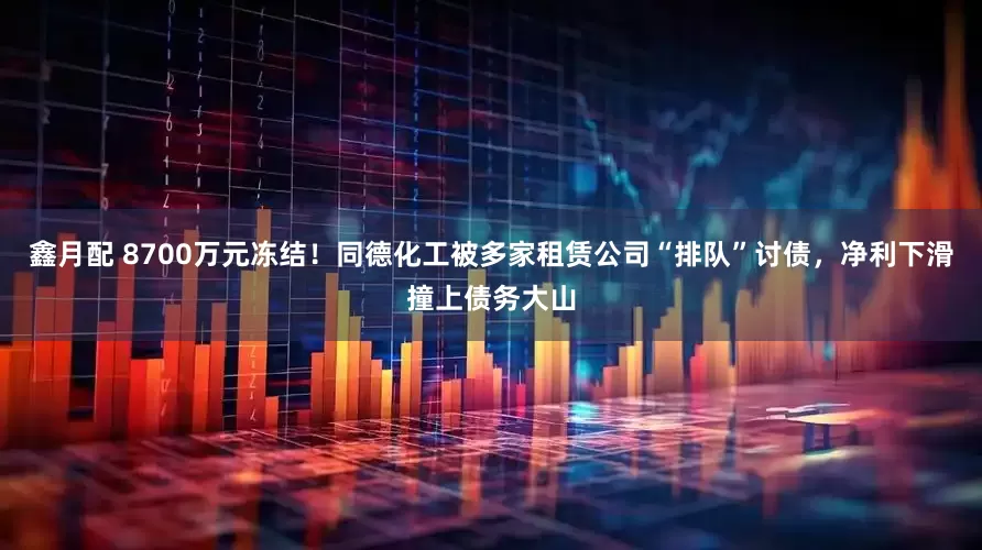 鑫月配 8700万元冻结！同德化工被多家租赁公司“排队”讨债，净利下滑撞上债务大山