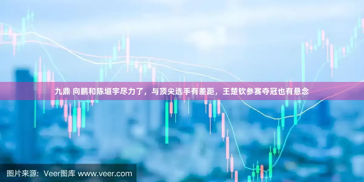 九鼎 向鹏和陈垣宇尽力了，与顶尖选手有差距，王楚钦参赛夺冠也有悬念