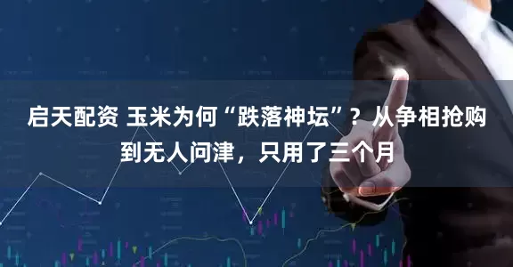 启天配资 玉米为何“跌落神坛”？从争相抢购到无人问津，只用了三个月