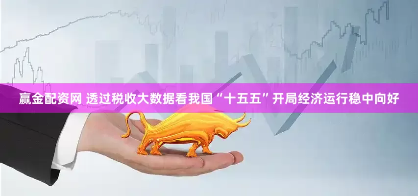 赢金配资网 透过税收大数据看我国“十五五”开局经济运行稳中向好